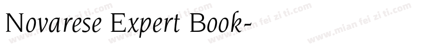 Novarese Expert Book字体转换